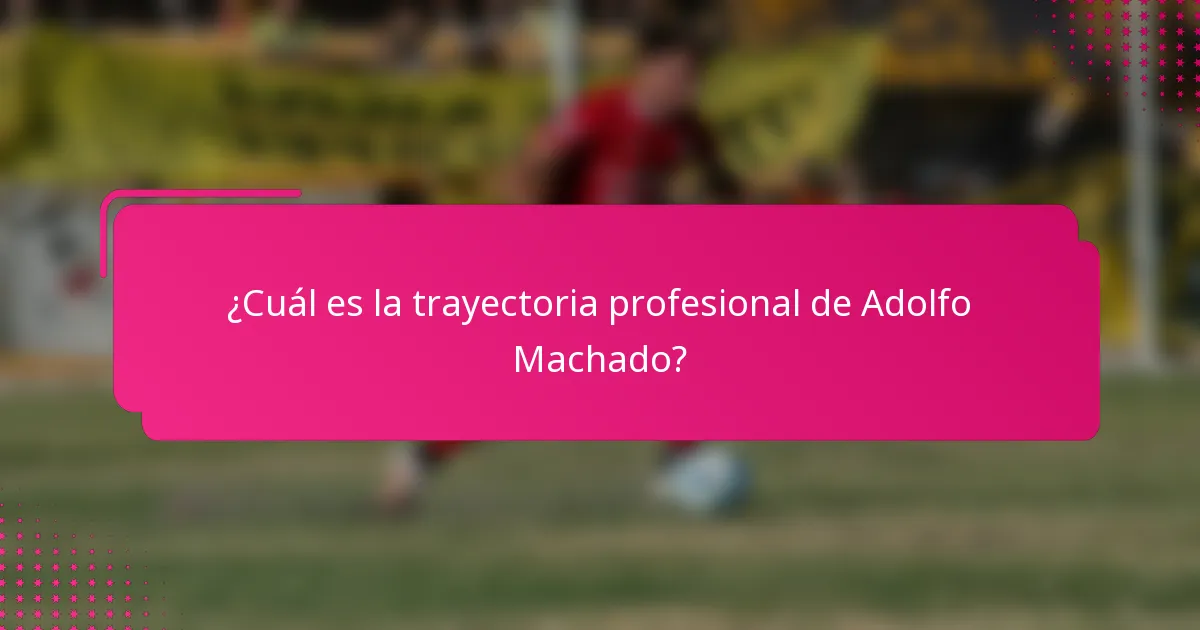 ¿Cuál es la trayectoria profesional de Adolfo Machado?